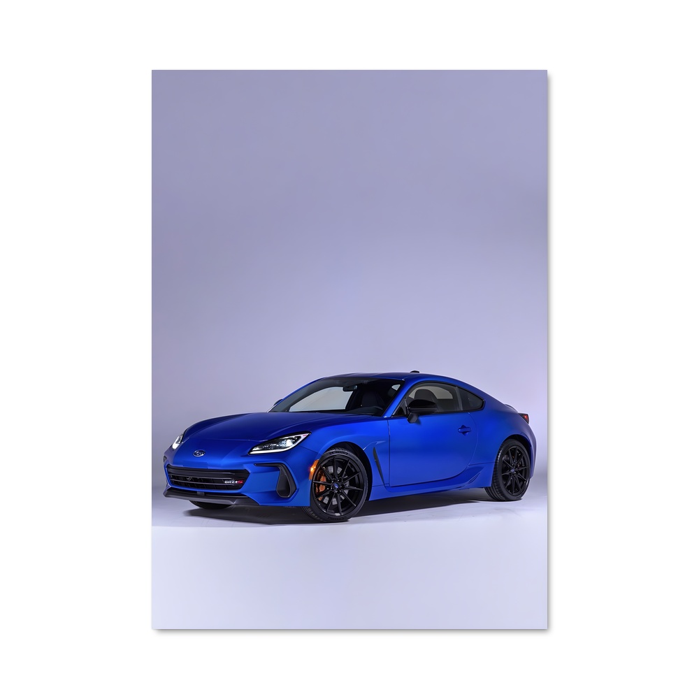 Poster Brz ts magnifique
